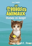 Chatons en danger vignette