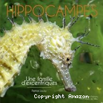 Hippocampes vignette