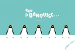 Sur la banquise ... vignette